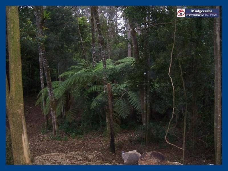 2713 Springbrook Road, Springbrook QLD 4213