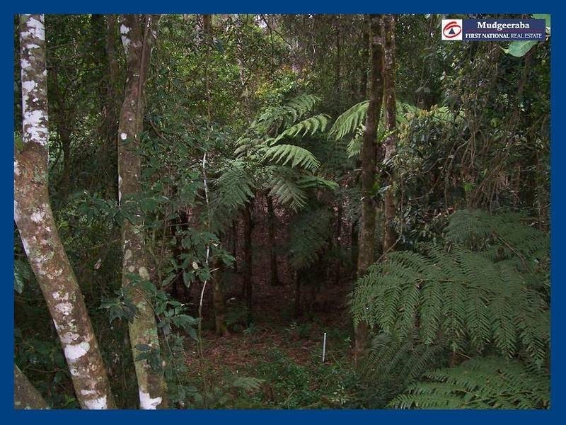 2713 Springbrook Road, Springbrook QLD 4213