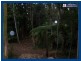 2713 Springbrook Road, Springbrook QLD 4213