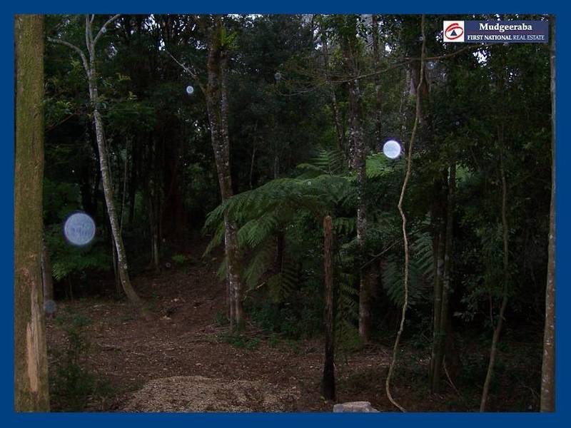 2713 Springbrook Road, Springbrook QLD 4213