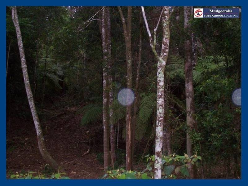 2713 Springbrook Road, Springbrook QLD 4213