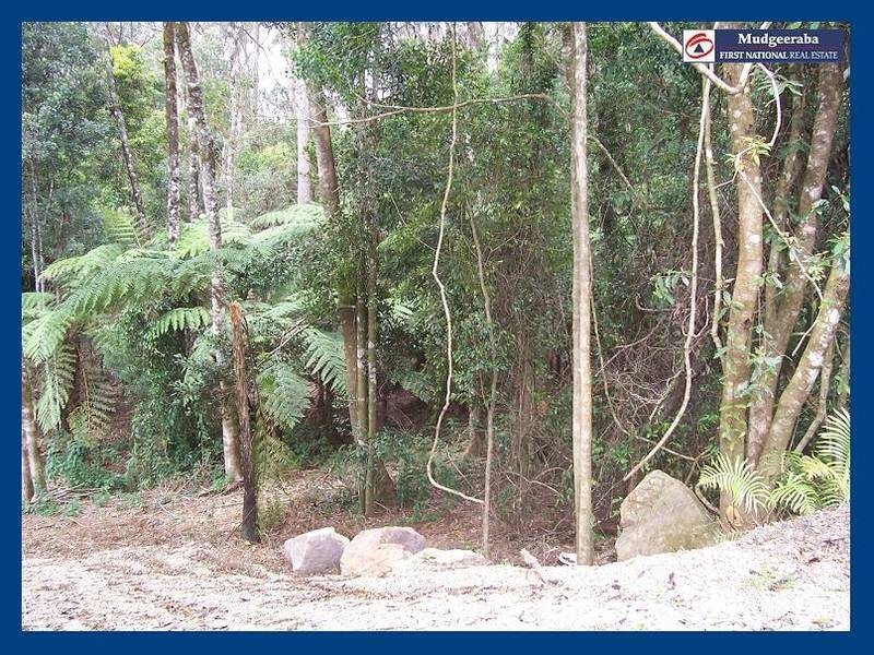 2713 Springbrook Road, Springbrook QLD 4213