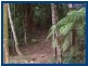 2713 Springbrook Road, Springbrook QLD 4213