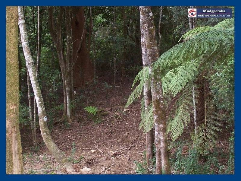 2713 Springbrook Road, Springbrook QLD 4213