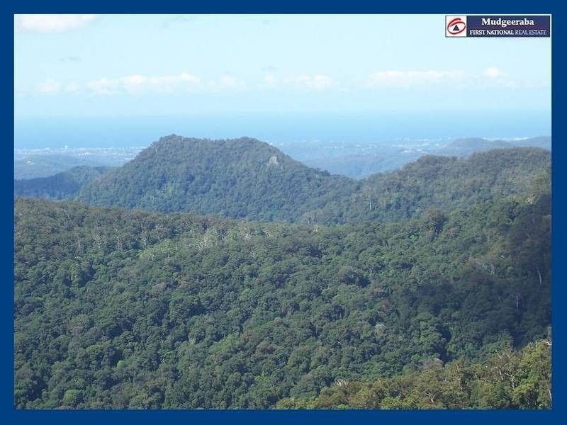 2713 Springbrook Road, Springbrook QLD 4213