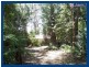 15 Mimosa Road, Springbrook QLD 4213