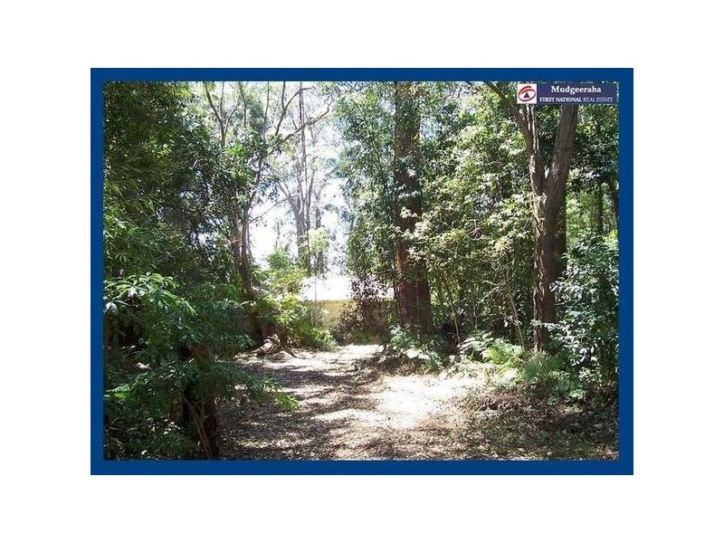 15 Mimosa Road, Springbrook QLD 4213