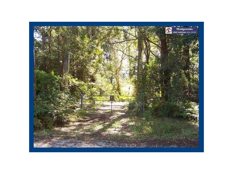 15 Mimosa Road, Springbrook QLD 4213
