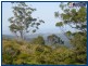 Austinville QLD 4213