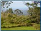 Austinville QLD 4213