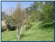 Austinville QLD 4213