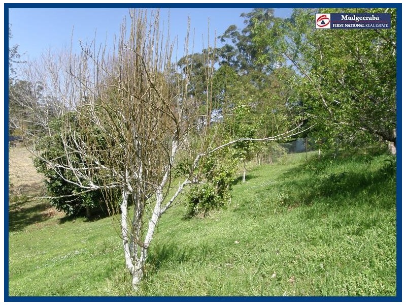 Austinville QLD 4213