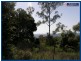 Austinville QLD 4213