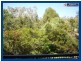 42/19 Carina Peak Court, Varsity Lakes QLD 4227