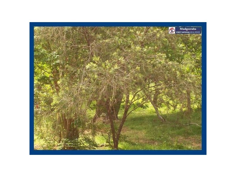 4 Lloyds Road, Springbrook QLD 4213