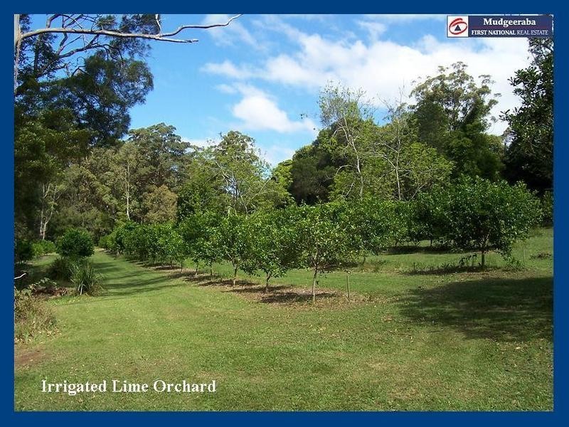 2215 Springbrook Road, Springbrook QLD 4213