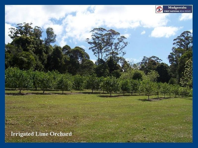 2215 Springbrook Road, Springbrook QLD 4213
