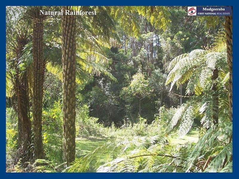 2215 Springbrook Road, Springbrook QLD 4213