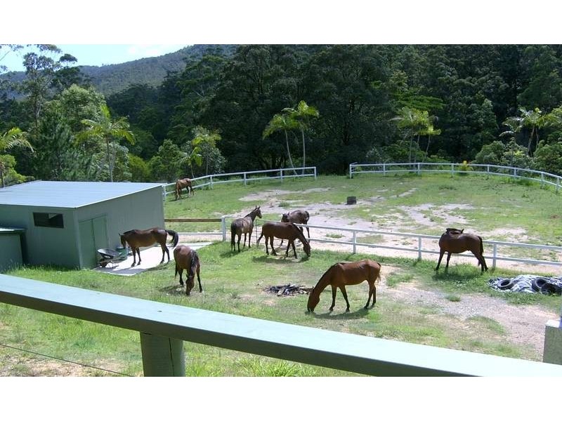 262 Petsch Creek Road, Tallebudgera Valley QLD 4228