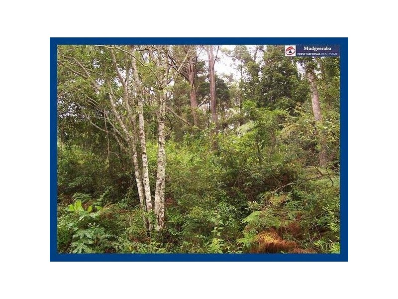 10 Ee-Jung Road, Springbrook QLD 4213