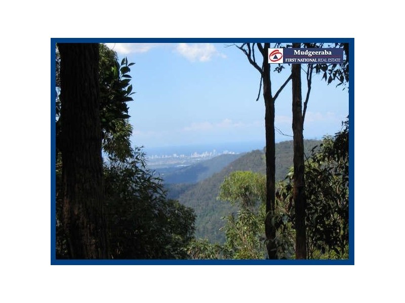 1949 Springbrook Road, Springbrook QLD 4213