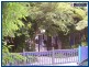 1949 Springbrook Road, Springbrook QLD 4213