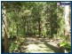 1949 Springbrook Road, Springbrook QLD 4213