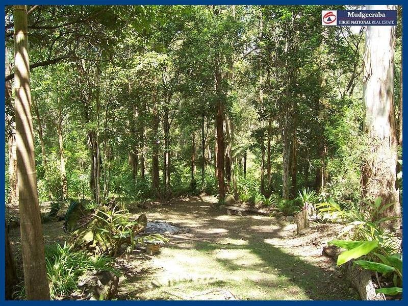 1949 Springbrook Road, Springbrook QLD 4213