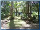 1949 Springbrook Road, Springbrook QLD 4213