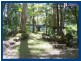 1949 Springbrook Road, Springbrook QLD 4213