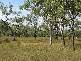 Inorunie, Georgetown QLD 4871