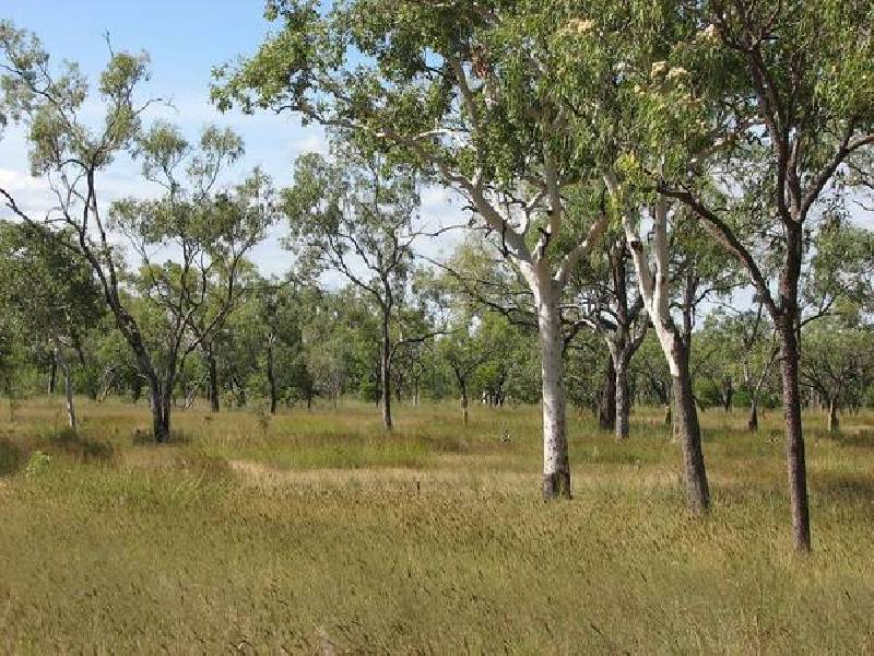Inorunie, Georgetown QLD 4871