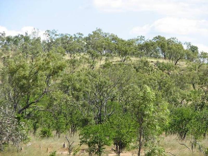 Inorunie, Georgetown QLD 4871