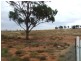 Lot 6 Goldrush Road, Parkes NSW 2870