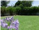26 Close Street, Parkes NSW 2870