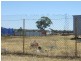 Lot 5, Station Street, Bogan Gate NSW 2876