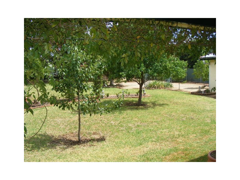 9 Willbe Street, Eugowra NSW 2806