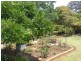 9 Willbe Street, Eugowra NSW 2806