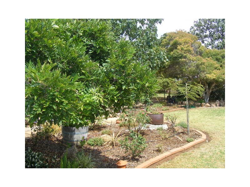 9 Willbe Street, Eugowra NSW 2806