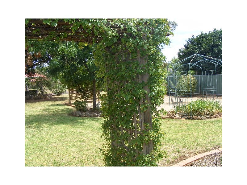 9 Willbe Street, Eugowra NSW 2806