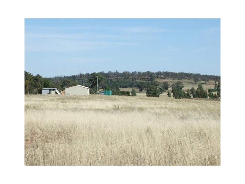 Lot 244,  Cookahills Road, Cookamidgera NSW 2870