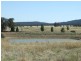 Lot 244,  Cookahills Road, Cookamidgera NSW 2870