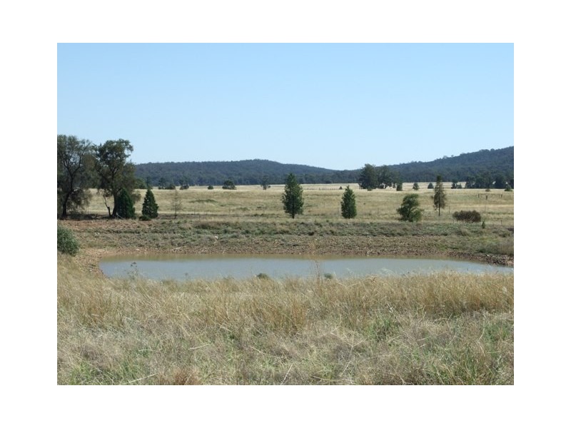 Lot 244,  Cookahills Road, Cookamidgera NSW 2870