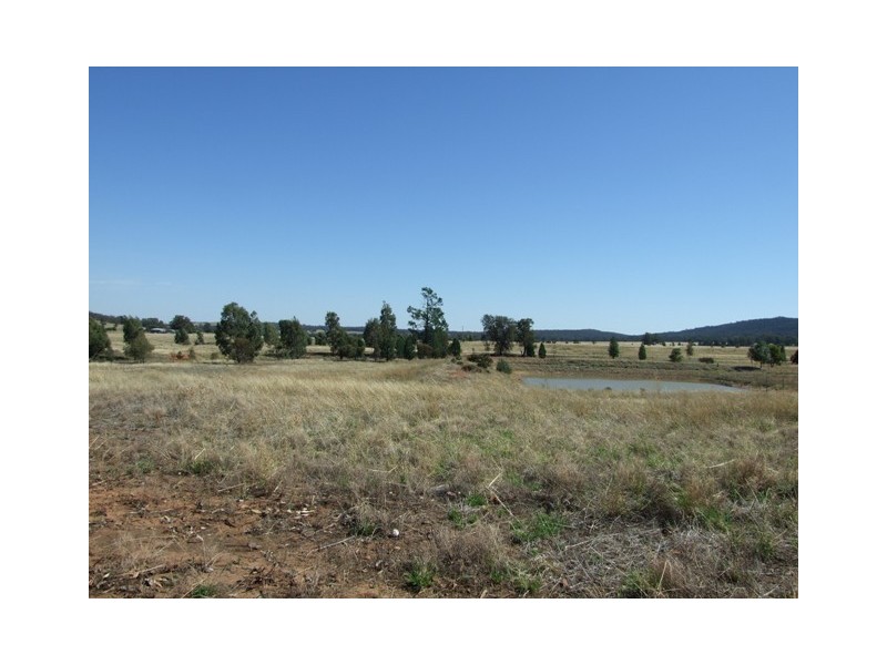 Lot 244,  Cookahills Road, Cookamidgera NSW 2870