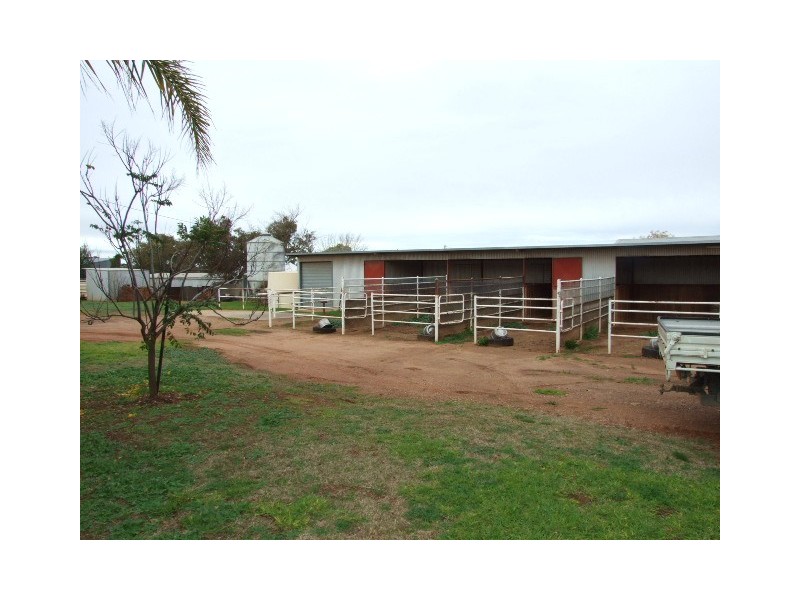 129 Victoria Street, Parkes NSW 2870