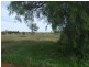 Lot 105,  West Street, Bogan Gate NSW 2876