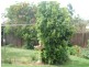 35 Mengarvie Road, Parkes NSW 2870