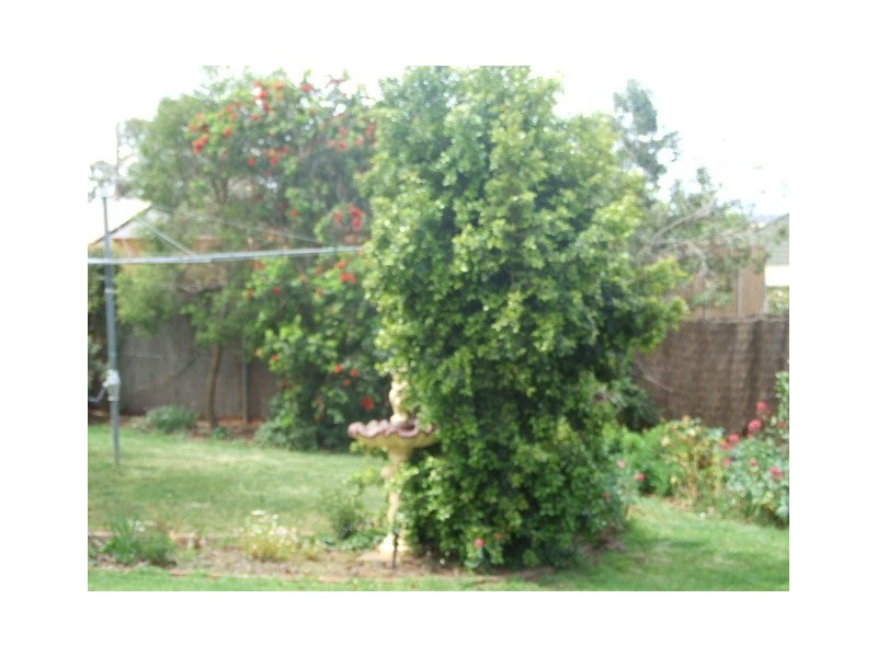 35 Mengarvie Road, Parkes NSW 2870