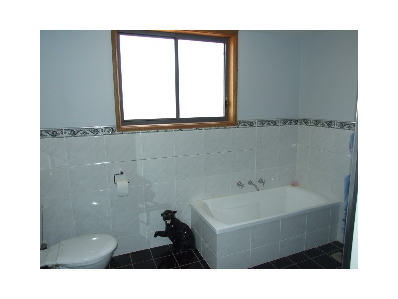 159 Deep Lead Rd, Parkes NSW 2870