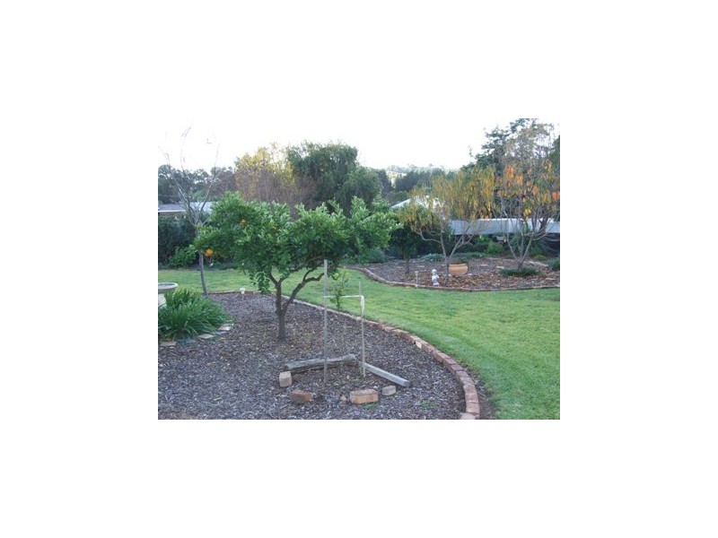 5 Howard Street, Parkes NSW 2870